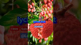 fallen split lychee fruit #lycheefruit #fruit #youtubeshorts #@Ladyblue520