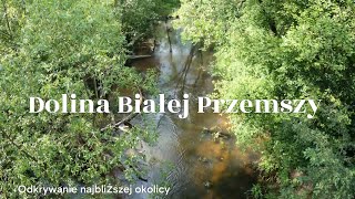 Dolina Białej Przemszy