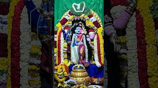 Navratri Day5 Lord Ardhanarishwara  🙏🏻😍 | నవరాత్రి ఐదవ రోజు అర్ధనారీశ్వర స్వామీ అలంకరణ 😇