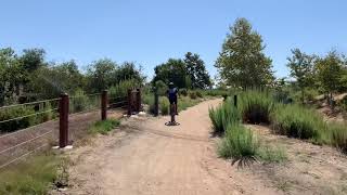 Biking Irvine