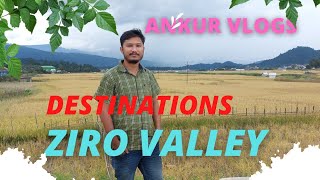 Ziro valley || Arunachol Pradesh || Ziro Music Festival || Orchid ||NE India