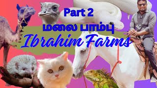 Ibrahim farms Pudukottai part-2 #zoo #trendingvideo #youtube#tamilnadu #travel#karaikudi#cat #trichy