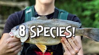 Catch 8 species in a southern Ohio river!