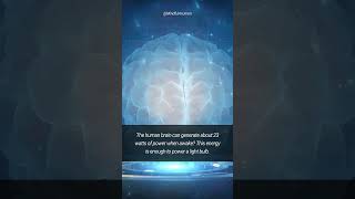 #brain #human #power #light #amazingfacts #speed #trending #youtubeshorts #viral #world #discovery