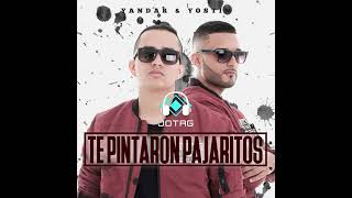 YANDAR & YOSTIN X ANDY RIVERA - TE PINTARON PAJARITOS