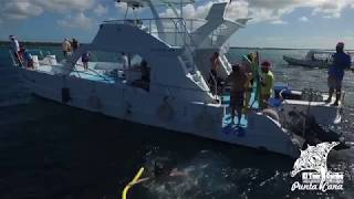 Starfish Cay Half Day Snorkeling Tour in Caribbean Sea