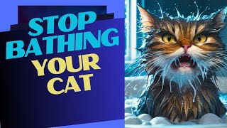 The Truth About Cat Bathing Will Shock You