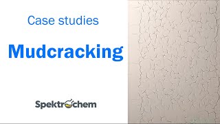 Case studies: Elimination of mudcracking by MFC (microfibrillated cellulose)