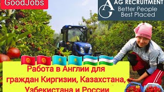 AG Recruitment. Работа в Англии для граждан Киргизии, Казахстана и Узбекистан