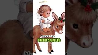 BURRITO SABANERO-NAVIDEÑO 2024 #musica #music #oldies