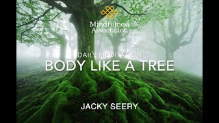 Daily Meditation   Body Like a Tree