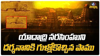 యాదాద్రి గుళ్లో పాము..| Snake Visits Yadari Temple SHOCKS Public | Mic Tv Muchatlu