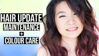 Purple Balayage Hair Update & Maintenance + Color Care Tips  | Eva Chung