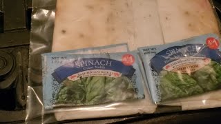 Help Germinate Spinach From Seeds #growyourownfood 🌱 #germination #spinach Paper Towel Method