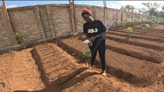 WE FINALLY BEGAN PLANTING SEEDLINGS IN OUR KITCHEN GARDEN @ItsNasto//DAY 3