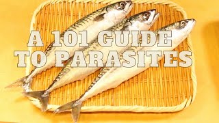 2.) A 101 Guide to Parasites; Deliciously SAFE Sushi