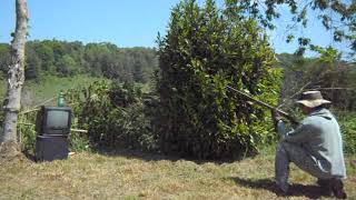 12" TV vs. 12 gauge shotgun