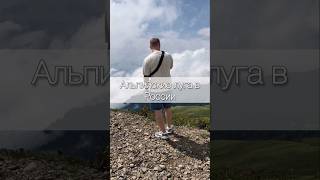 Альпийские луга в России ⛰️ ГОРЫ|Роза Хутор|Красная Поляна|Сочи #сочи#розахутор#краснаяполяна#travel