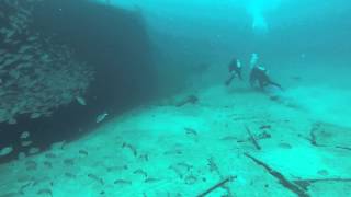 Danny's Ancient Mariner Wreck Dive Part 2