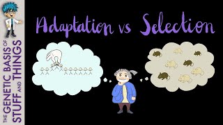 Adaptation vs selection: What YOU need to know about exaptation