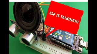 ESP With Voice! Project Made By Visuino!