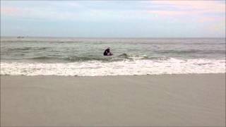 Newton and Daddy Boogey Boarding