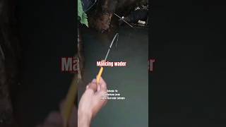 MANCING IKAN WADER DI PARIT DANGKAL,