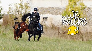 DEUX PONEYS EN MÊME TEMPS C'EST SPORTIF + aprem future maison