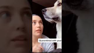 Quarantined with dog #dog #pet #animals #cute #shorts #funny #viral #status #2021 #tiktok #puppy