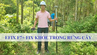 SIÊU PHẨM EFIX F7+ FIX KHỎE TRONG RỪNG CÂY