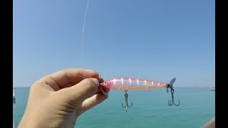 EXOTIC Fishcraft skatter prop 96 REVIEW