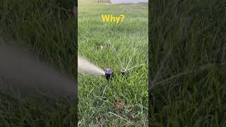 Weird Sprinkler System Things #lawn #lawncare #sprinkler system #shorts