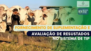 Fornecimento de suplementação e Avaliação de resultados no sistema de TIP