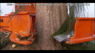 Wood Cracker & Wood Chipping Power