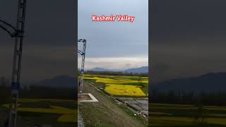 kashmir valley