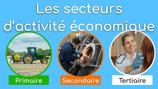 Les secteurs d'activité économique