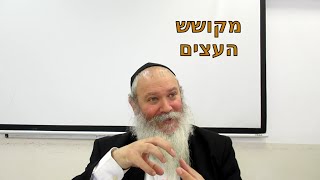 מקושש העצים. הרב סער עודד הרן