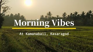 Nature | Morning Vibes | Natural Beauty | Kamanabail | PLAY NOW DAILY