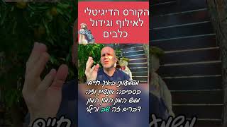 קורס האילוף הדיגיטלי