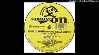 Public Mood - What U Do 2 Me (Proffessor Traxx Mix)