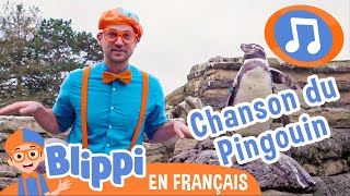 La chanson du pingouin | 🎵Blippi en Français -  Chansons pour enfants