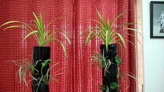 DIY: Indoor Vertical Planting-Terrace Gardening Tips(TGT)