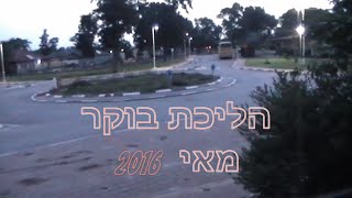 זירה הליכת בוקר