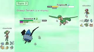 SWOOBAT IS AN AWESOME SWEEPER ON POKEMON SHOWDOWN !