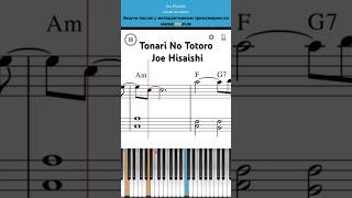 Tonari No Totoro🐻‍❄️ Joe Hisaishi 🎼Легкий интерактивный урок на #пианино + #ноты 🎹 #shorts