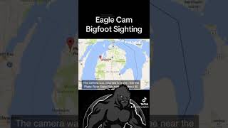 Aerial Capture Bigfoot Sighting #bigfoot #paranormal #shorts #viral #trending #fyp #unknown #nature