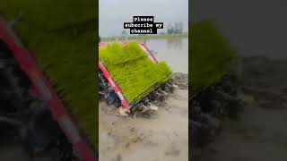 technical farming #farming #tochan #trending #tractorvideo #farmers #farmerlife #youtubeshorts