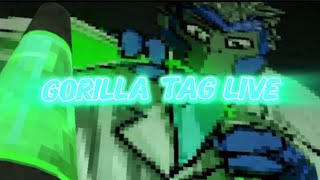 Gorilla Tag Live