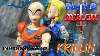 Noseless Cannon Fodder - PDA Impressions of SH Figuarts Krillin