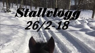 Häng med på uteritt!- Stallvlogg 26/2-18